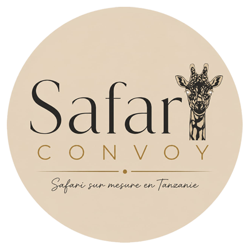 safari conyoy logo